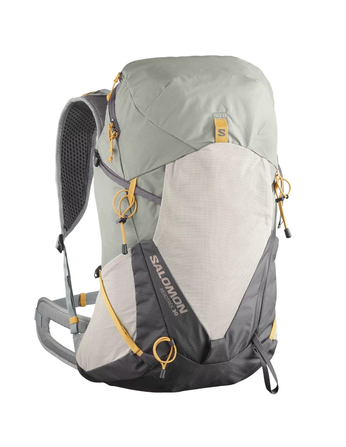 cdn.mybrand.shoes-salomon-aerotrek-30-lc2466900