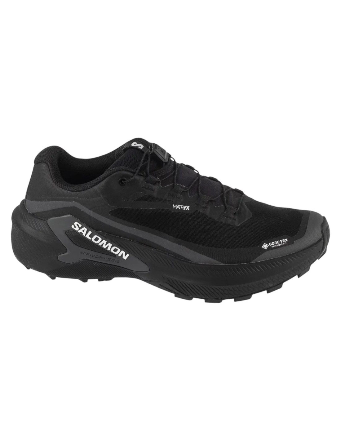 cdn.mybrand.shoes-salomon-genesis-2-gtx-l49300300