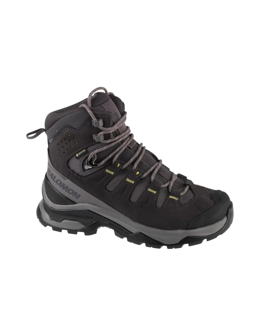 cdn.mybrand.shoes-salomon-quest-5-gtx-w-l49138800