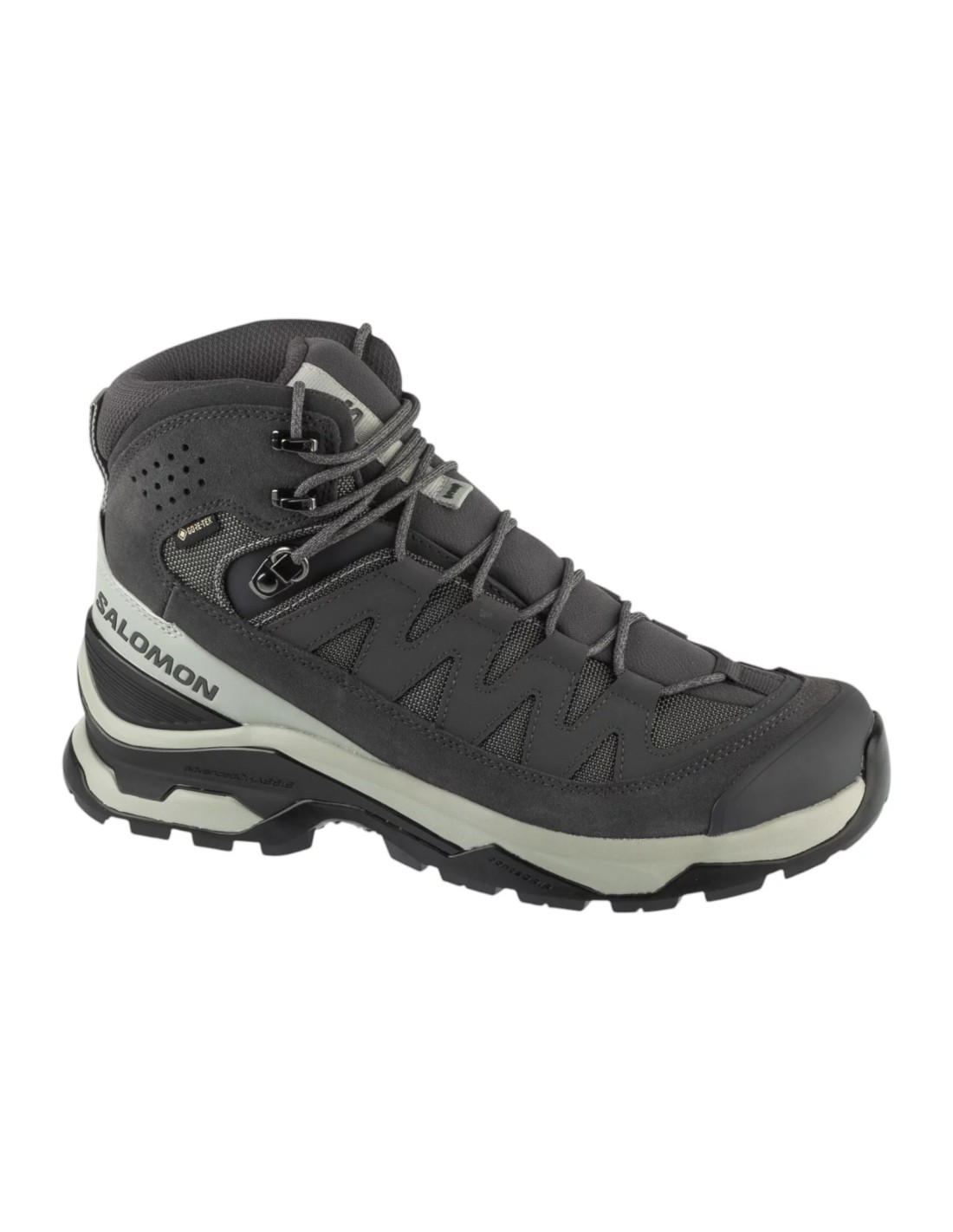 cdn.mybrand.shoes-salomon-quest-echo-gtx-l49146200
