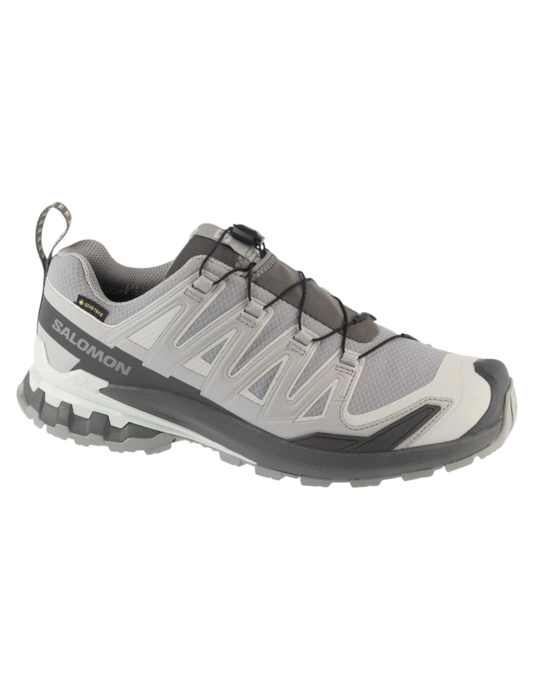 cdn.mybrand.shoes-salomon-xa-pro-3d-v9-gtx-l49199100
