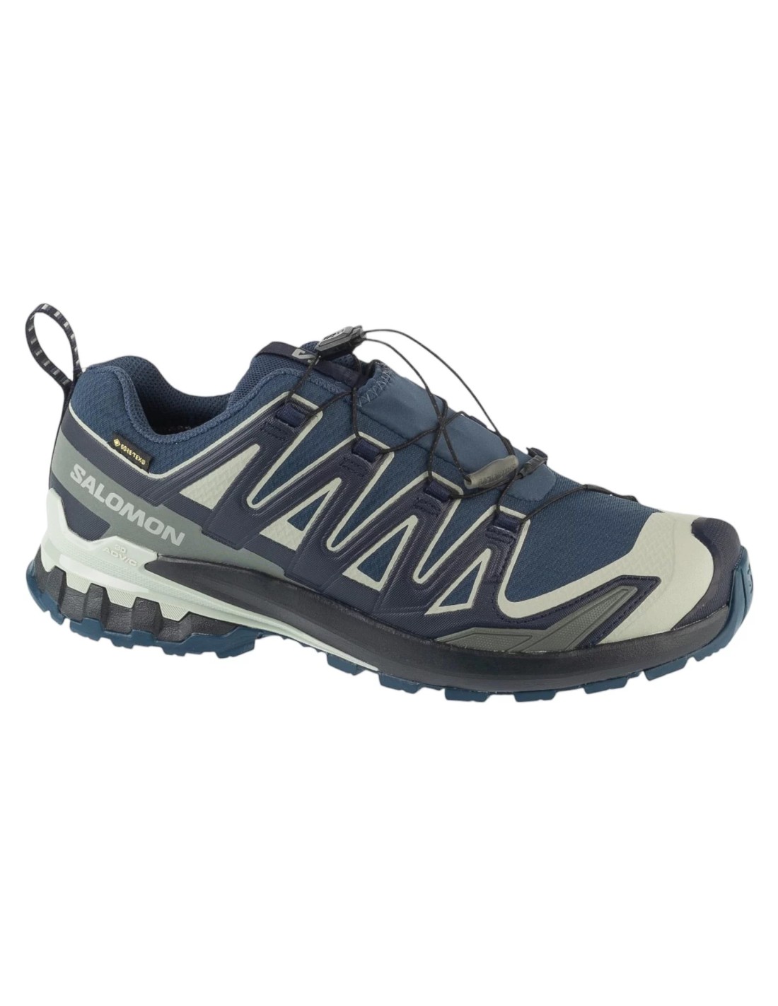 cdn.mybrand.shoes-salomon-xa-pro-3d-v9-gtx-l49199200