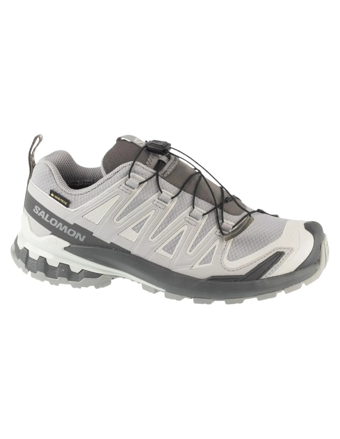 cdn.mybrand.shoes-salomon-xa-pro-3d-v9-gtx-w-l45412000