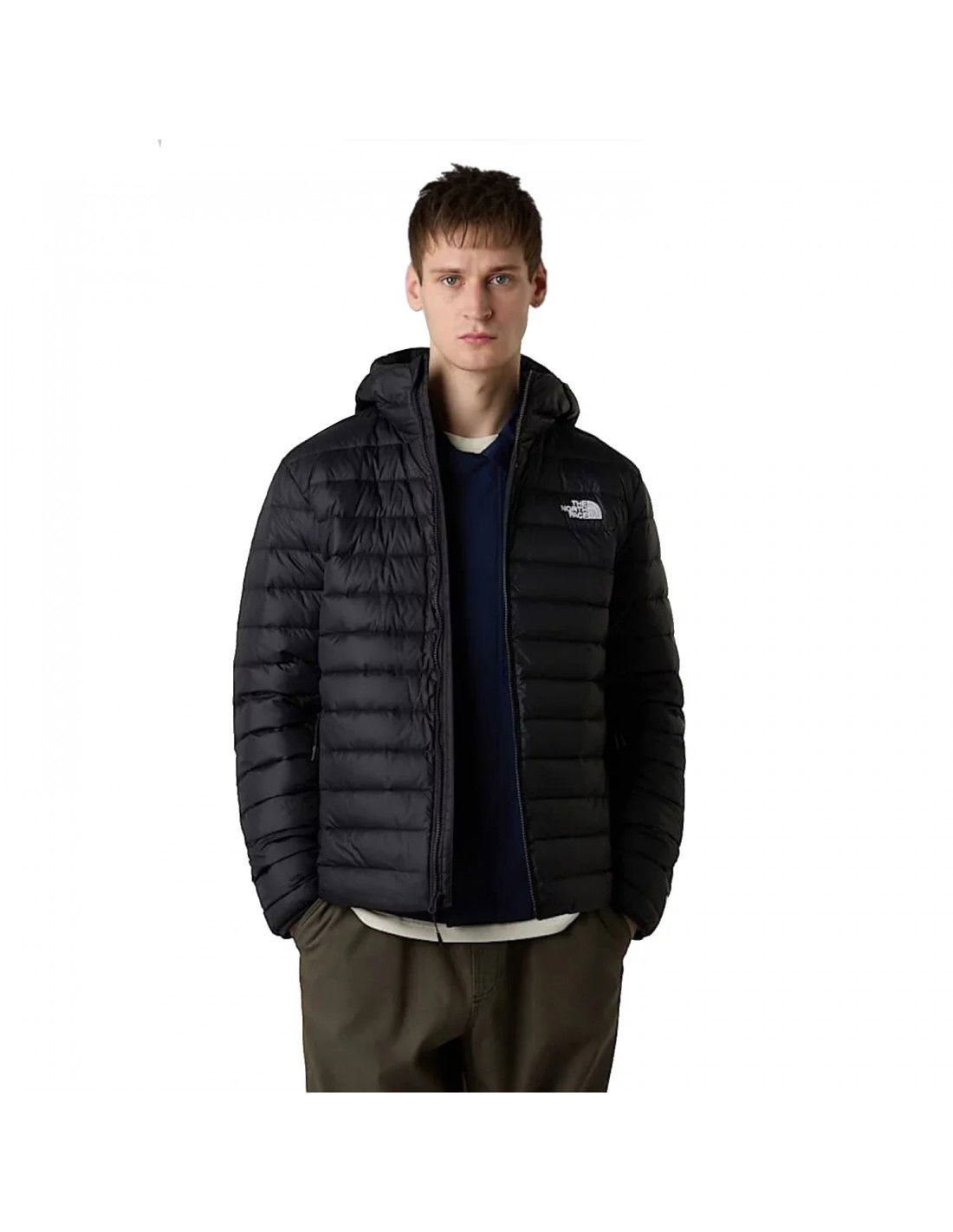 cdn.mybrand.shoes-the-north-face-classic-down-hooded-jacket-nf0a8d1tjk31