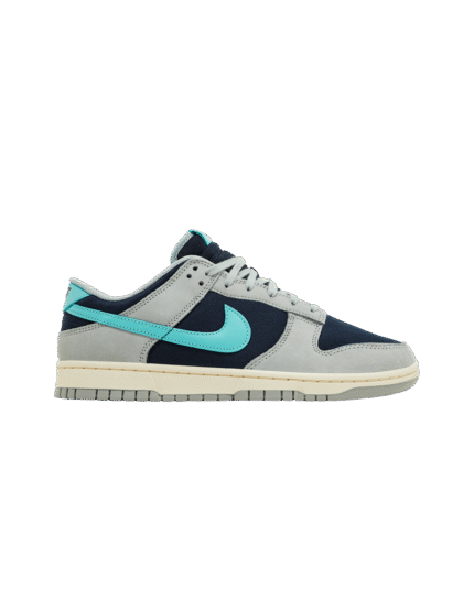 Nike Dunk Low Retro Premium Light Pumice Green Frost FB8895001 MBS