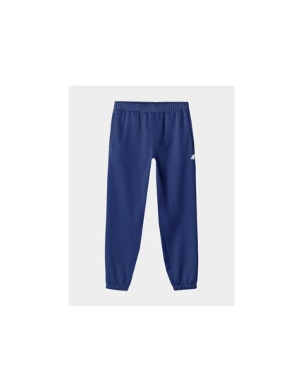 Sweatpants 4F M 4FWAW24TTROM127731S