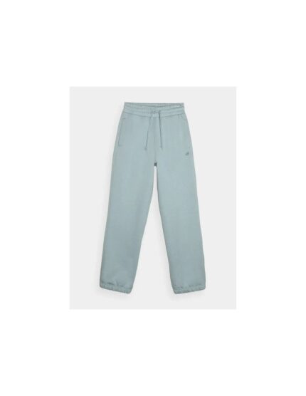 Trousers 4F W 4FWAW24TTROF081947S