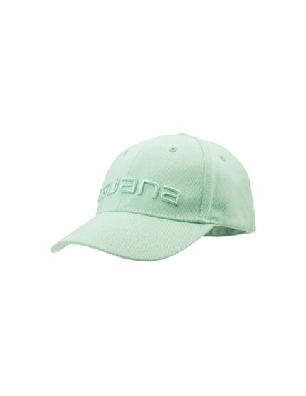 Iguana erde cap W 92800407 120