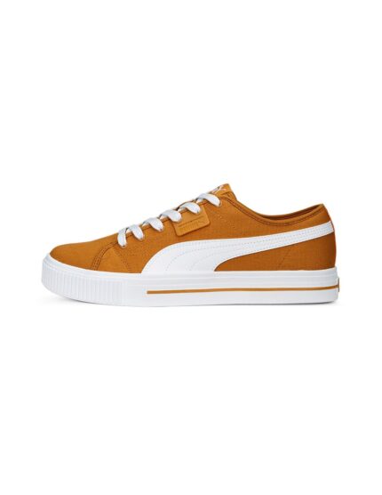 Puma Ever FS CV Ανδρικά Sneakers Καφέ 386393-05