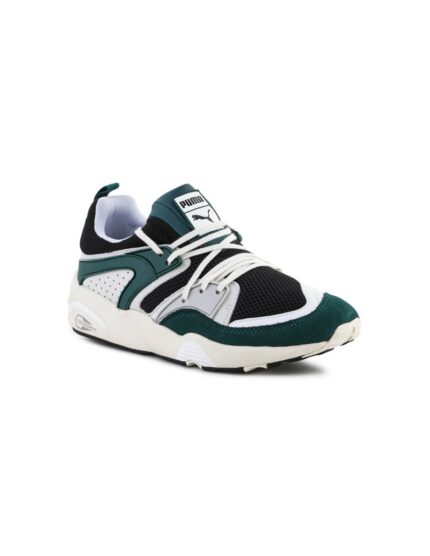 Puma Ανδρικά Sneakers Πολύχρωμα 387575-02