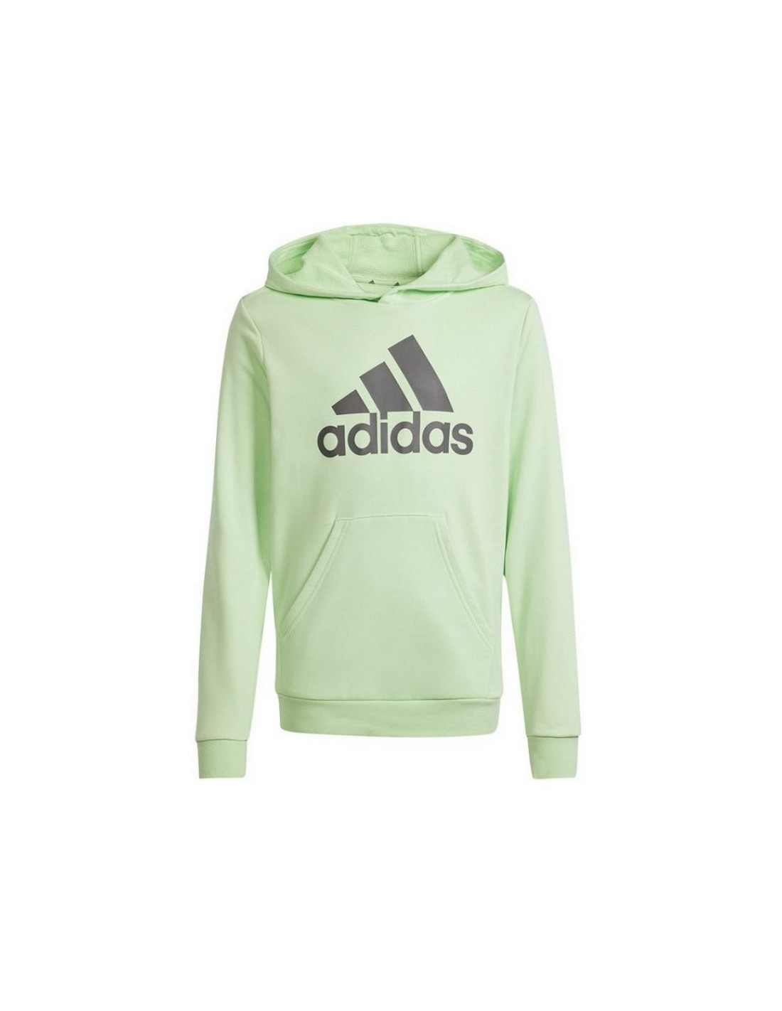 Adidas Big Logo Hoodie Jr IS2591 sweatshirt