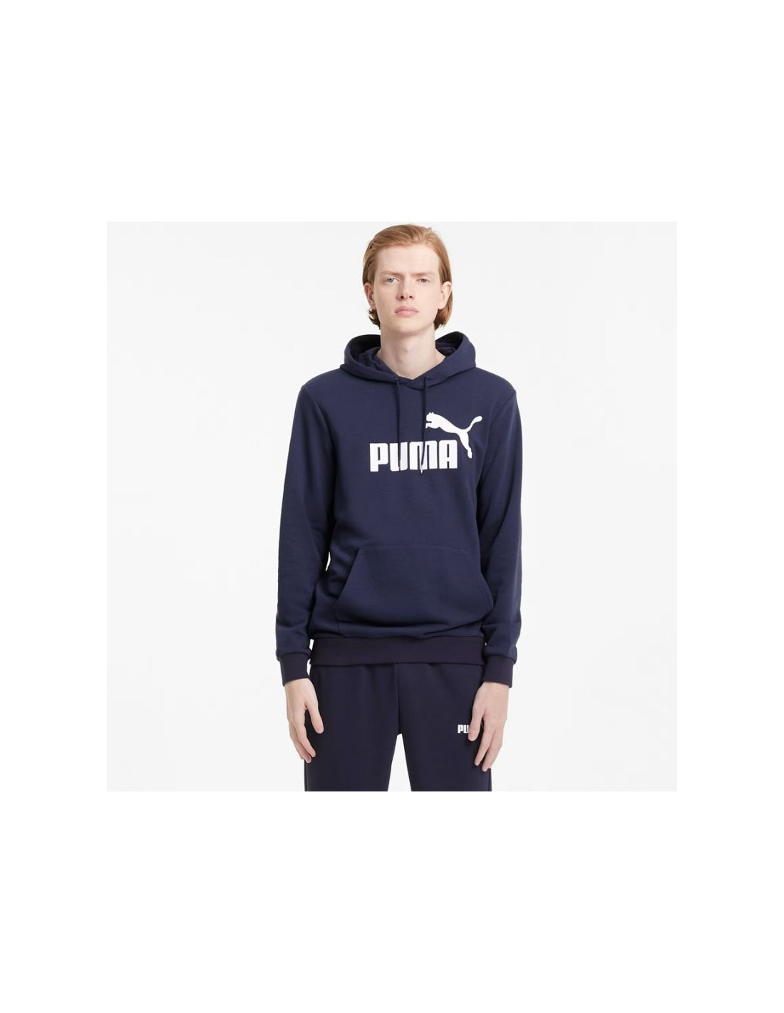 Puma Essential Big Logo Hoodie TR 58668806