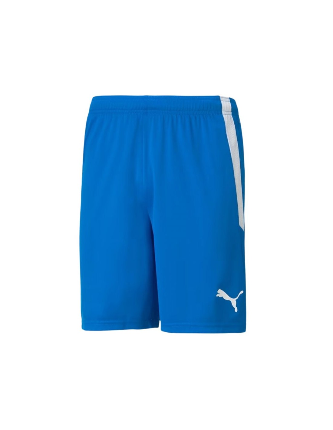 Puma Team Goal 23 704262-02 Ανδρικό Σορτς Εμφάνισης Ποδοσφαίρου