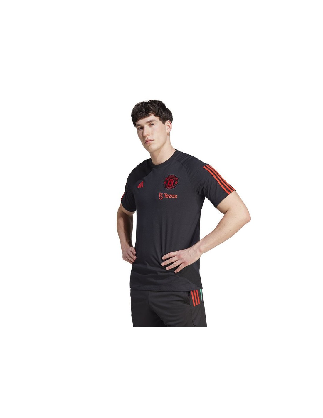 Tshirt adidas Manchester United TR Tee M IA8489