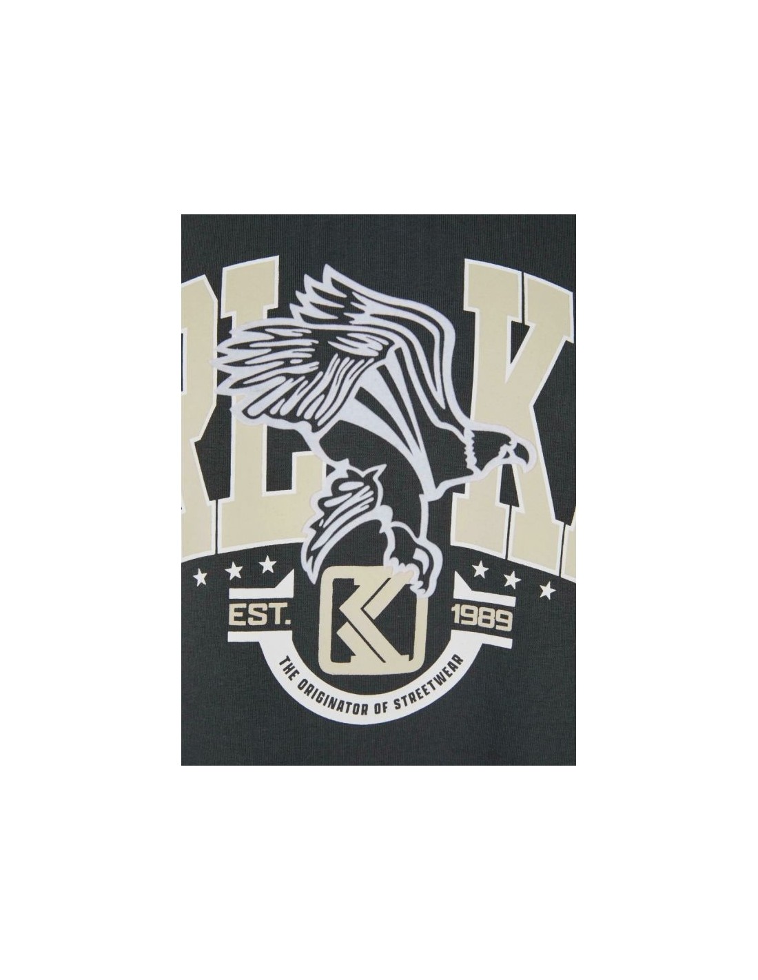 Karl Kani Og Eagle Print Os Hoodie M 60210115 - Image 7