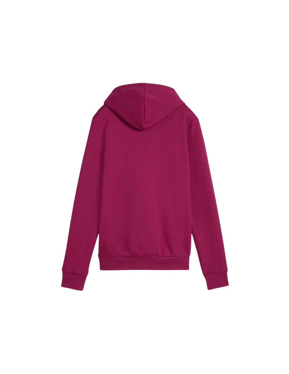 Puma ESS Logo Hoodie FL W 586789 52 - Image 5