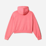 Napapijri Morgex OTH Hoodie - Pink - Image 3